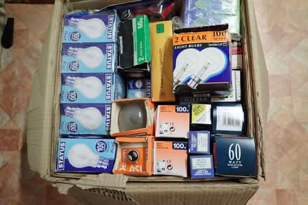 Photo of free light bulbs (Fincham PE33) #1