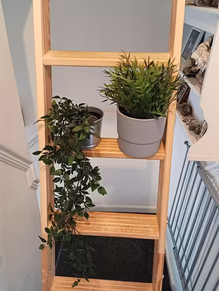 Photo of free IKEA fake plants (Crawcrook) #1
