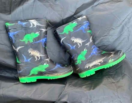 Photo of free Boys dinosaur wellies sz UK8 (KT17 - Stoneleigh) #1