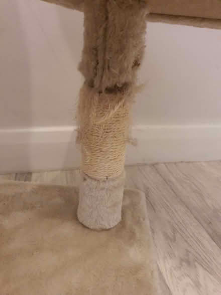 Photo of free Cat tree - 3 years old (Strawberry Hill TW2) #4