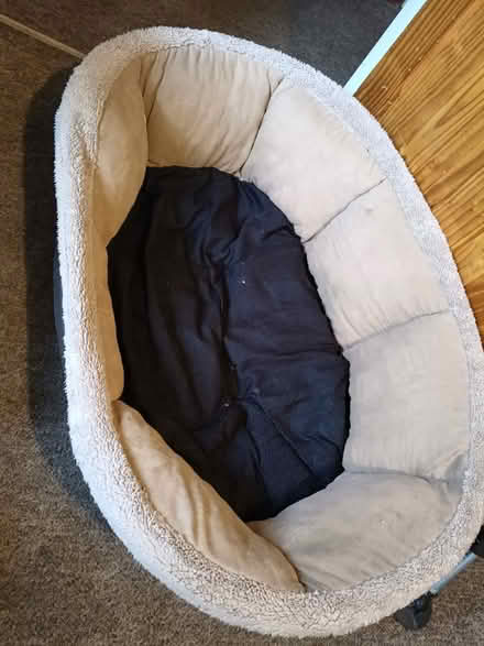 Photo of free BS30 Oldland/Warmley area medium dog bed (The Batch) #2