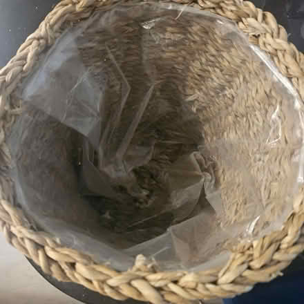 Photo of free Wicker plant pot (Orpington) #2