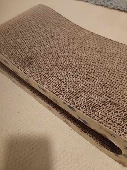 Photo of free Cat scratcher (Horsell) #1