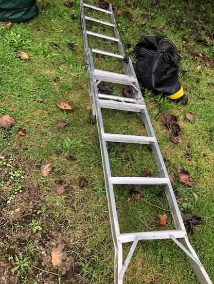 Photo of free Extending ladder (Farley Heath GU5 9EW) #1