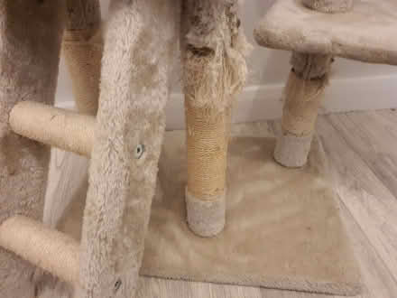 Photo of free Cat tree - 3 years old (Strawberry Hill TW2) #2