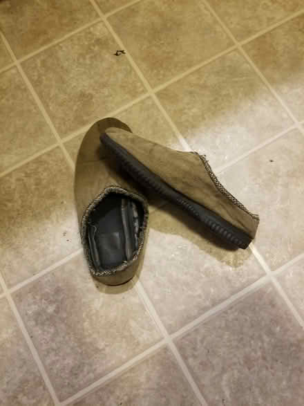 Photo of free Slip air slippers (Streetsville l5m1g7) #1
