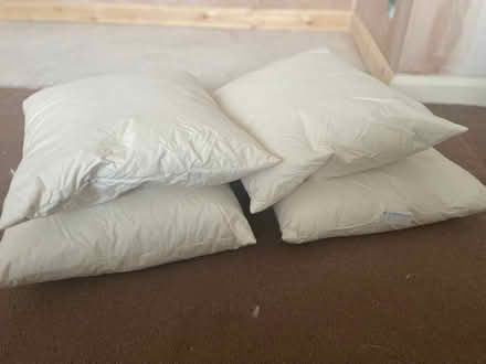 Photo of free 4x feather cushion inserts (Formby L37) #1