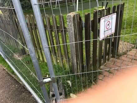 Photo of free Timber Fencing Panels And Gate (Sandhurst TN18) #2