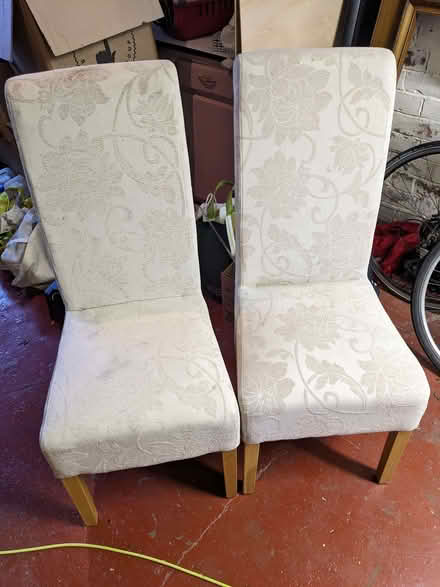 Photo of free Pair of dining chairs (Cullercoats NE30) #1