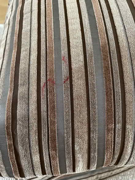 Photo of free Cushions (North Ascot SL5) #4