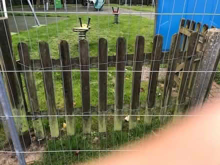 Photo of free Timber Fencing Panels And Gate (Sandhurst TN18) #1
