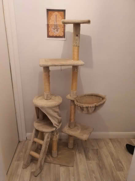 Photo of free Cat tree - 3 years old (Strawberry Hill TW2) #1