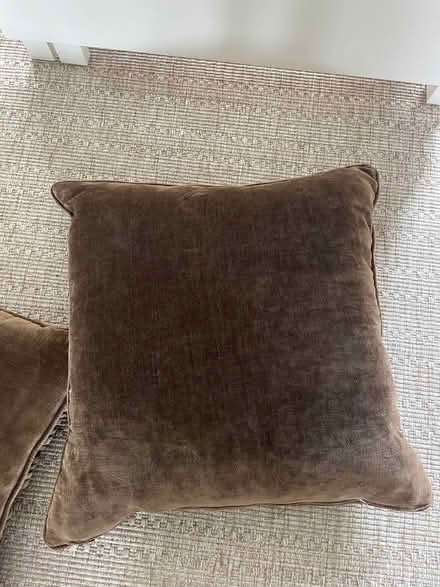 Photo of free Cushions (North Ascot SL5) #3