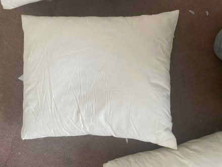 Photo of free 4x feather cushion inserts (Formby L37) #2
