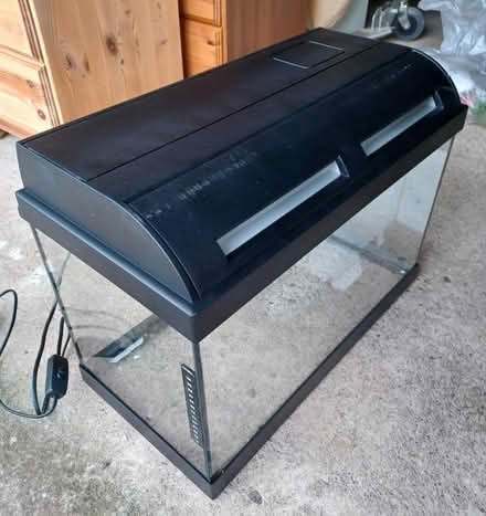Photo of free Fish Tank plus accessories (East Kilbride) #1