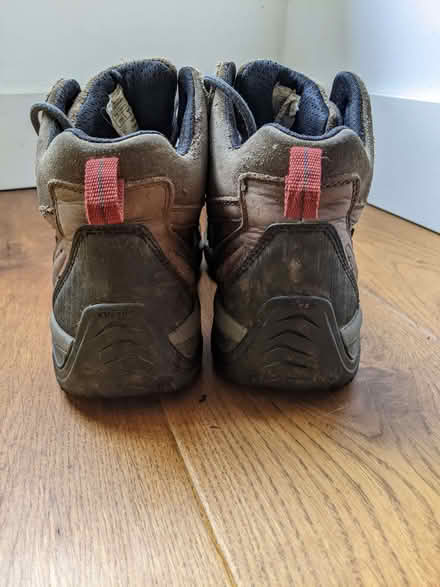 Photo of free Ladies walking boots size 7 (Coalbrookdale TF8) #3