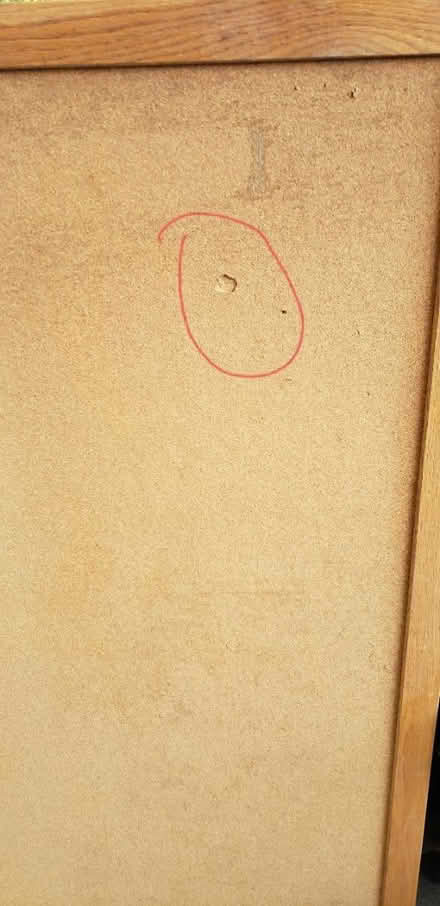 Photo of free Cork bulletin board (Dunham and Army Trail) #3