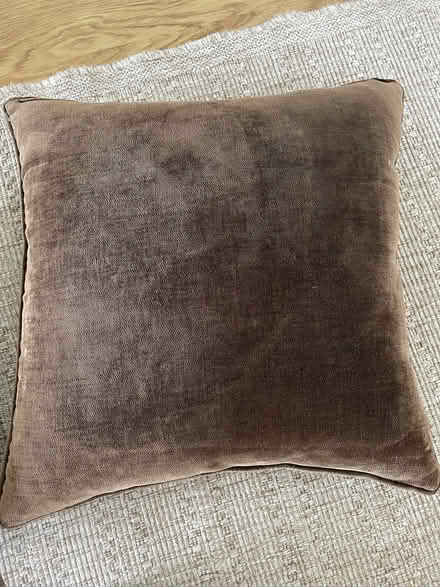 Photo of free Cushions (North Ascot SL5) #2