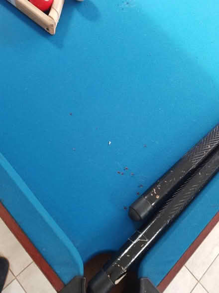 Photo of free Pool table (Ash Green, GU12) #4