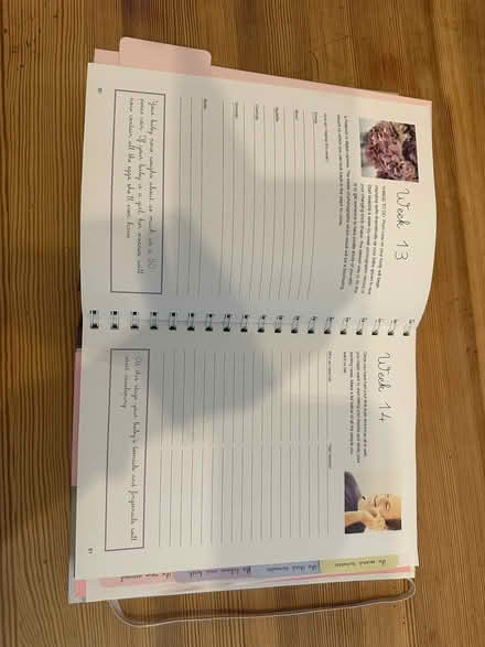 Photo of free Pregnancy journal (Wavendon MK17) #2