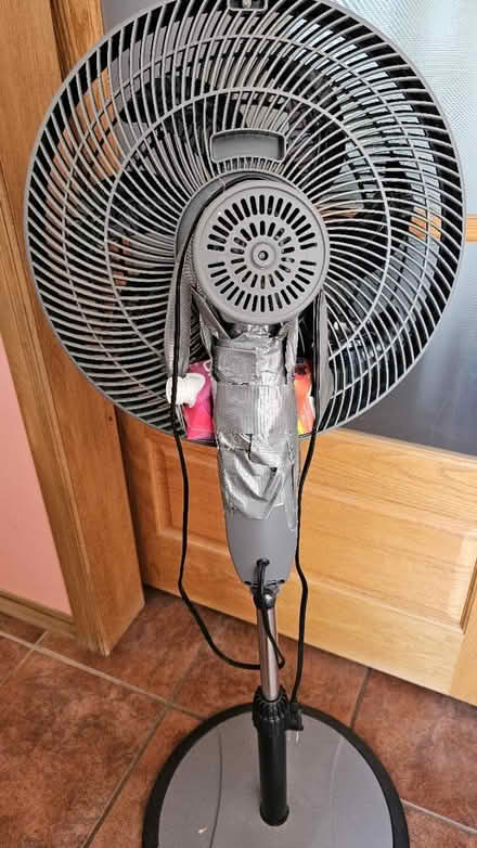Photo of free Fabulous Fan (Stanley Park Kitchener) #2