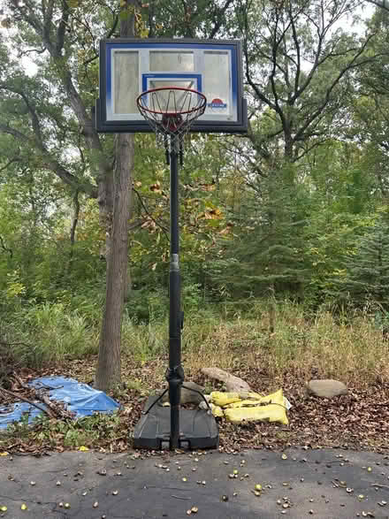 Photo of free Adjustable basketball hoop (Wadworth) #1