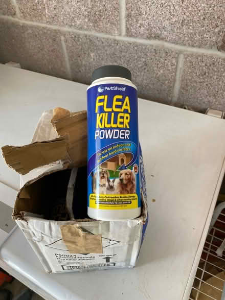 Photo of free Flea killer powdet (Corsham) #1
