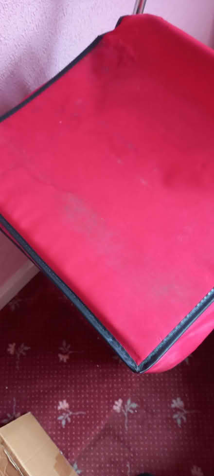 Photo of free Sholley (Edmonton N13) #2