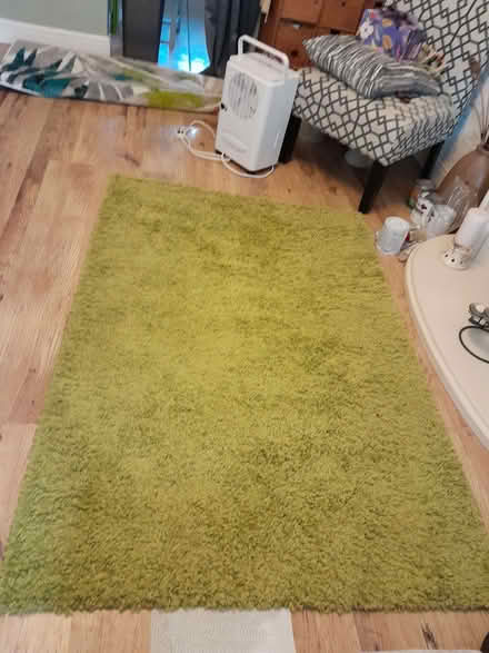 Photo of free Rug (Strelley NG8) #1