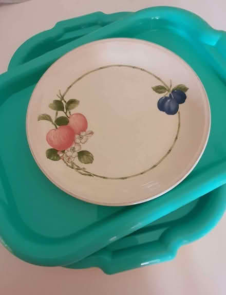 Photo of free 6 good quality plastic trays (Bolton le Sands LA5) #2