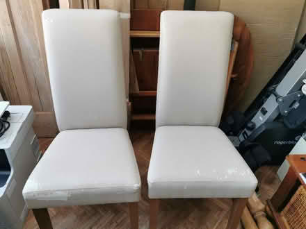 Photo of free Dining Chairs (Portchester) #3