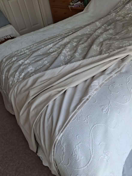 Photo of free Pair of large cotton curtains, lined (Charlton Kings GL52) #3