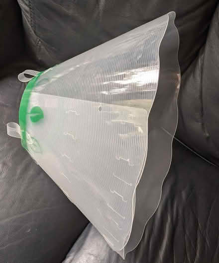 Photo of free Post-surgery cone/collar LARGE DOG (Ainsdale (PR8)) #1