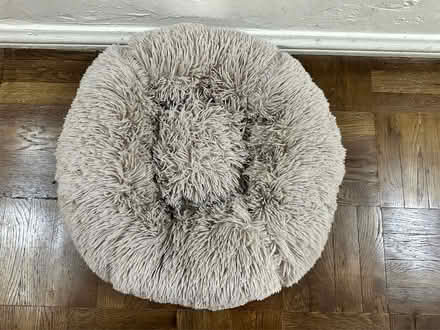 Photo of free Cat/Dog bed (Koreatown) #2