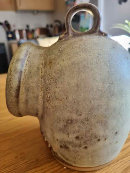 Photo of free salt pig to collector (Trowbridge) #3