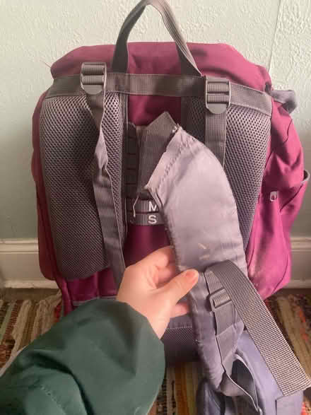 Photo of free Karrimor Tor 65L Rucksack (Dennistoun, G31) #3