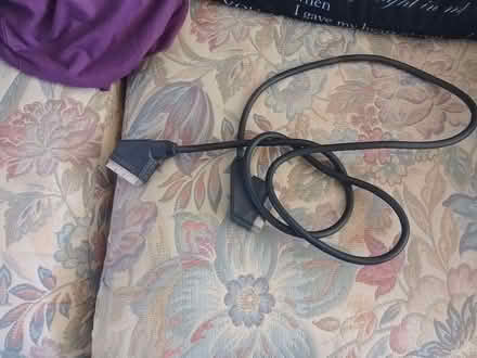 Photo of free Scart lead (Oulton NR32) #1