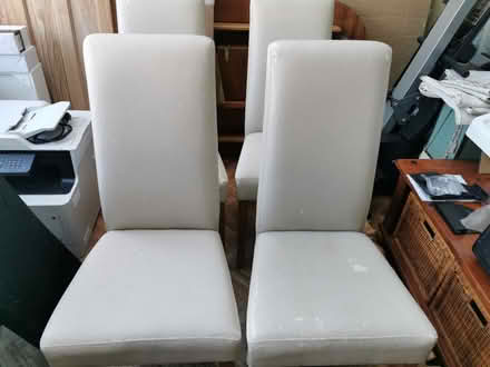 Photo of free Dining Chairs (Portchester) #1