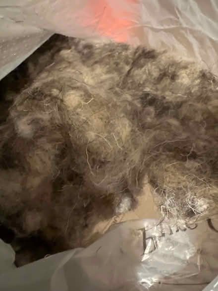 Photo of free A bag of natural wool (KT4) #2