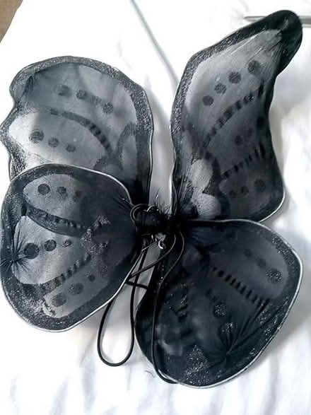 Photo of free 2 pairs of fairy wings (Whiston S60) #1