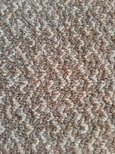 Photo of free New carpet remnants (CH43) #1