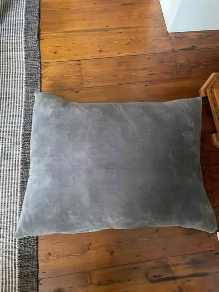 Photo of free Dog bed cushion (Winkfield Row RG42) #1