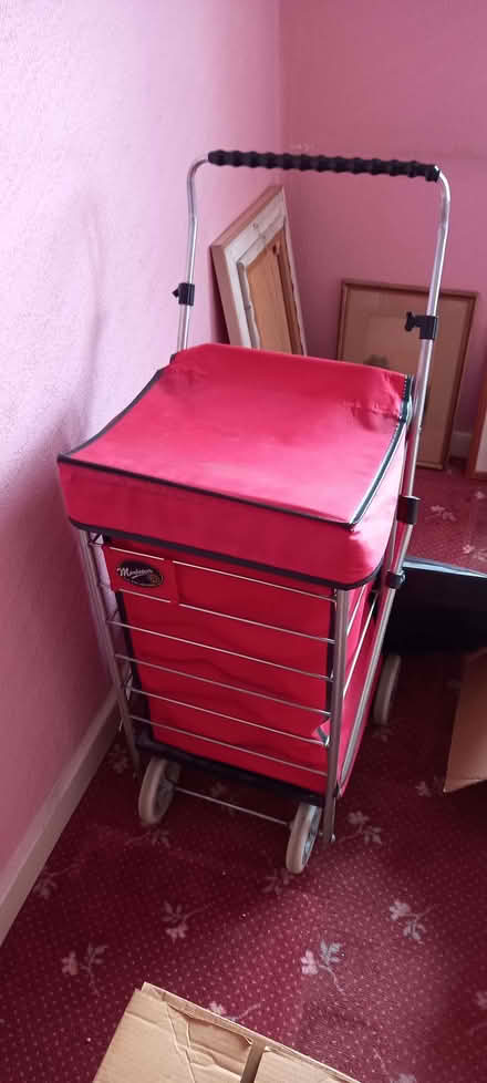 Photo of free Sholley (Edmonton N13) #1