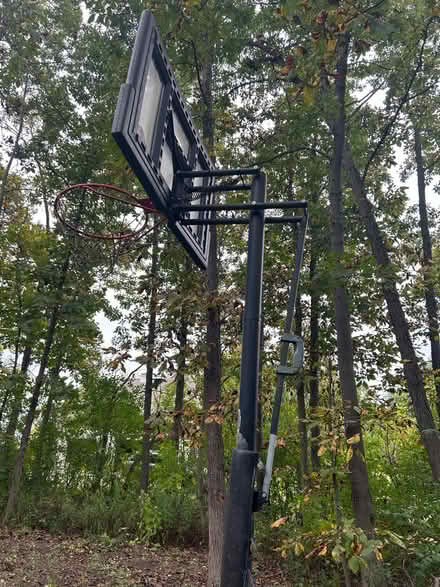 Photo of free Adjustable basketball hoop (Wadworth) #2