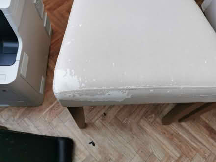 Photo of free Dining Chairs (Portchester) #4