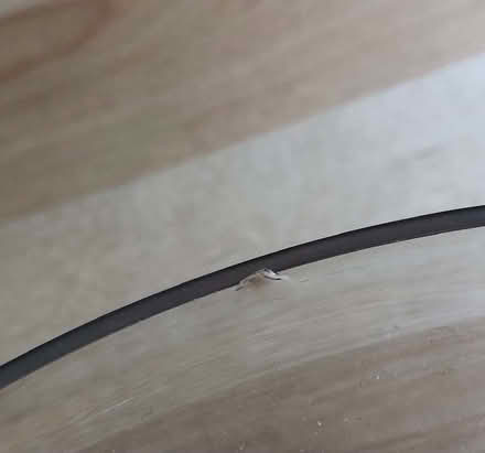 Photo of free Beautiful Cake Plate (North Tonbridge TN9) #3