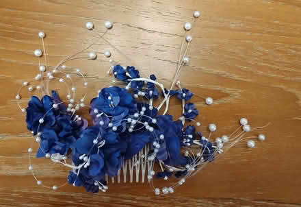 Photo of free Fascinator ((south) Central Park - Denver) #1