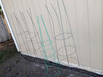 Photo of free Tomato cages (Renton Highlands) #1