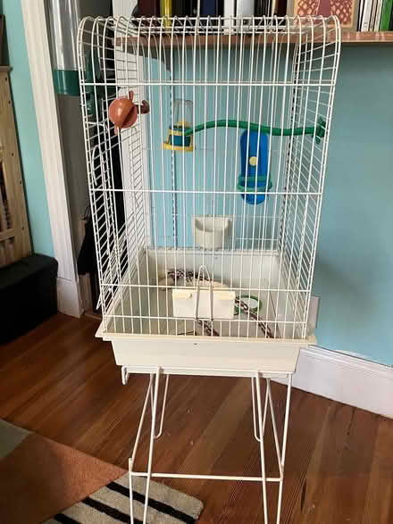Photo of free Bird cage (North Cambridge) #1