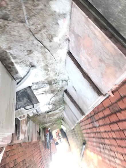 Photo of free Paving flags (Woodside CH41) #3